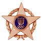Stella di Bronzo al Merito Sportivo
