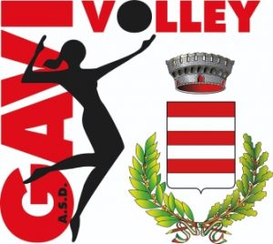 GAVI VOLLEY – Logo