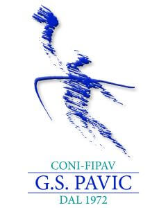 PAVIC – Logo