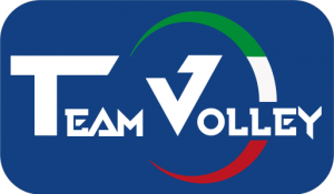 TEAMVOLLEY – Logo