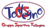 TOLLEGNO – Logo