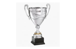 Coppa Comitato U13F e Primavera U13M