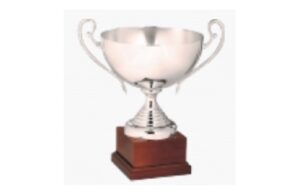Coppa Comitato U17M